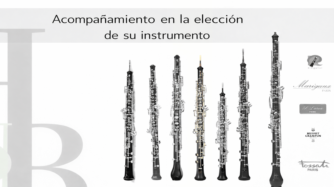 Acompa&ntilde;amiento en la elecci&oacute;n de sus instrumentos